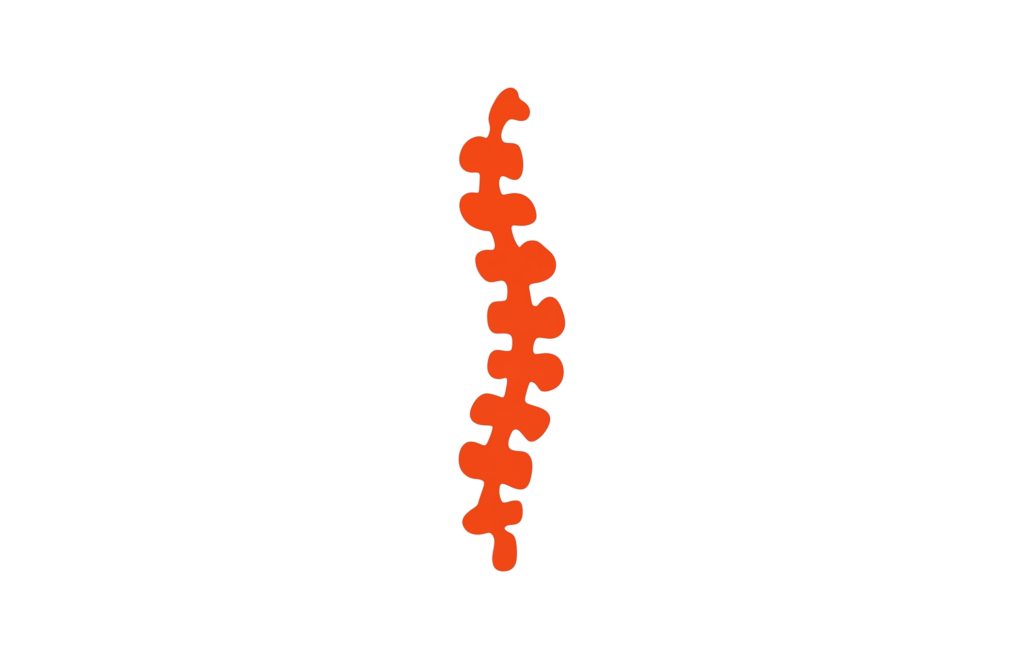 Spine health and chiropractic care icon