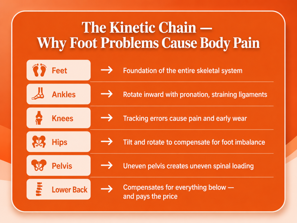 The Kinetic Chain