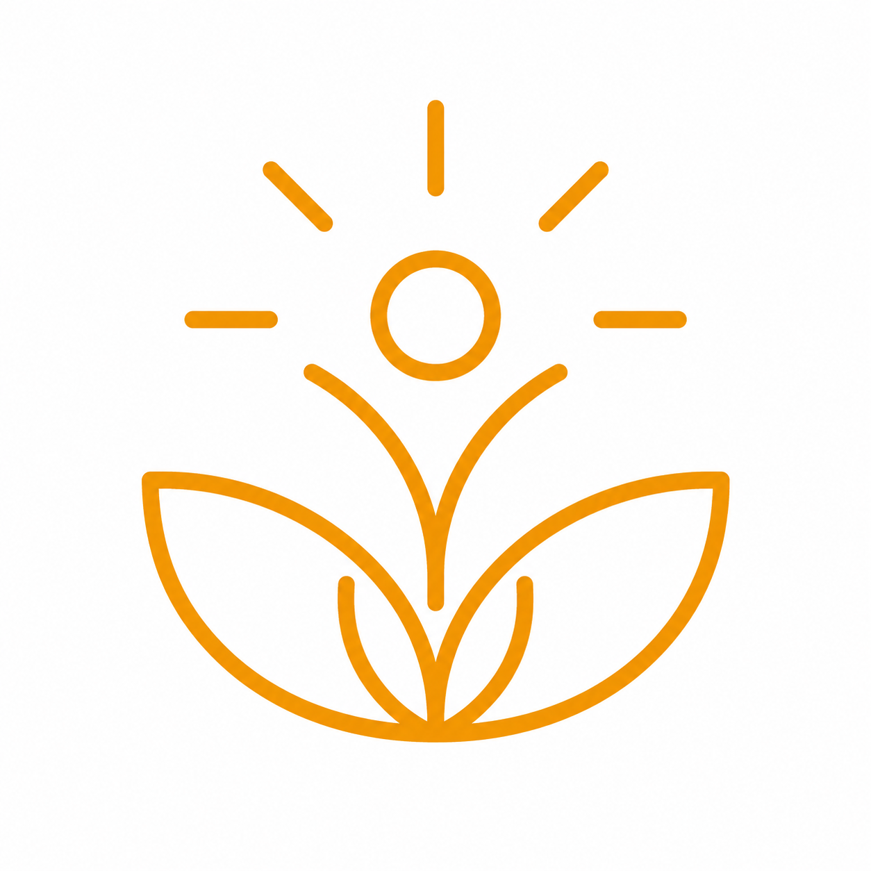 Chiropractic Care for Wellness Optimisation